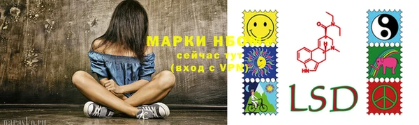 ПСИЛОЦИБИНОВЫЕ ГРИБЫ Арсеньев