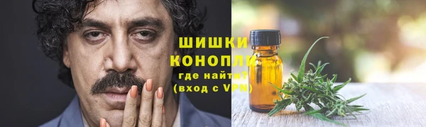 ГАЛЛЮЦИНОГЕННЫЕ ГРИБЫ Алзамай