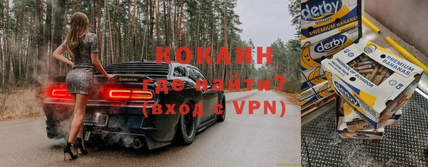 ПСИЛОЦИБИНОВЫЕ ГРИБЫ Арсеньев